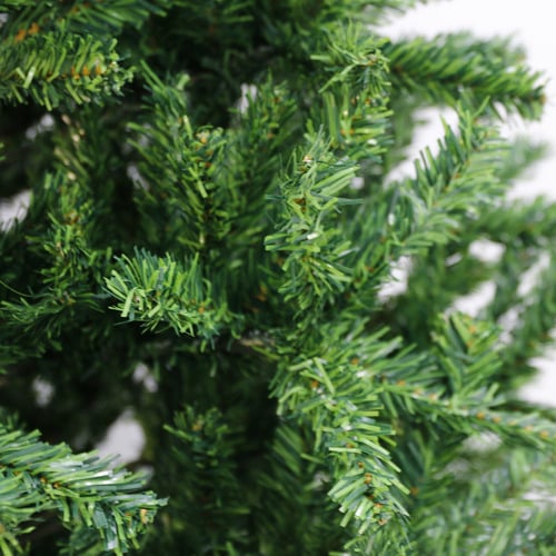 Sylvanus-Christmas-Tree