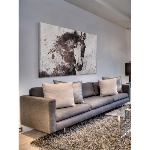 Gorgeous Horse Canvas Wall Art