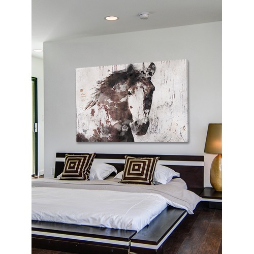 Gorgeous Horse Canvas Wall Art