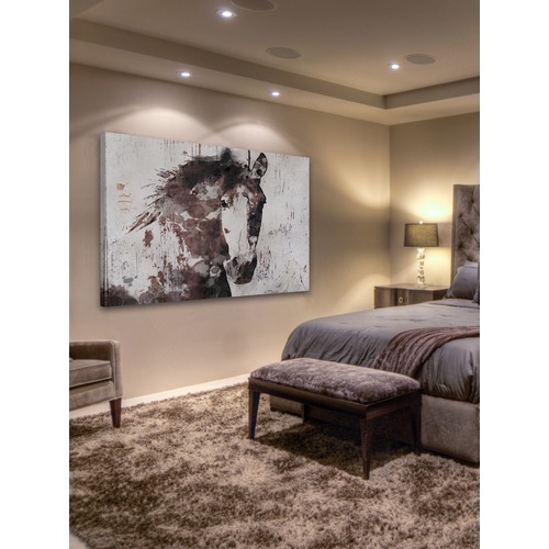 GalerieArtCo Gorgeous Horse Canvas Wall Art | Temple & Webster