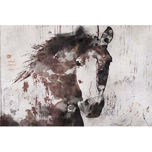Gorgeous Horse Canvas Wall Art