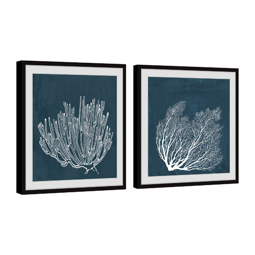 Tropical Corals Framed Printed Wall Art Diptych