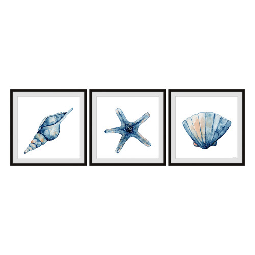 Starfish & Shells Framed Printed Wall Art Triptych