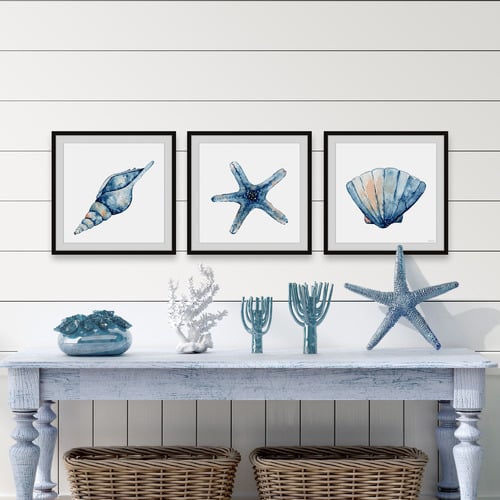 Starfish & Shells Framed Printed Wall Art Triptych