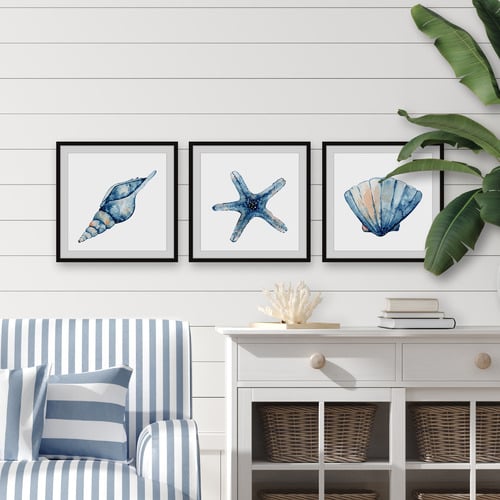 Starfish & Shells Framed Printed Wall Art Triptych