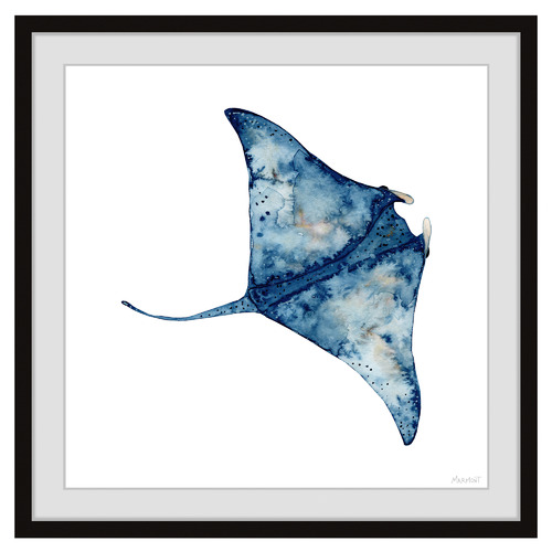 Wild Stingray Framed Printed Wall Art | Temple & Webster