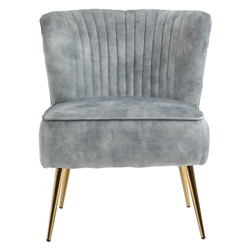 CoraHomeLiving Amandeep Velvet Accent Chair | Temple & Webster