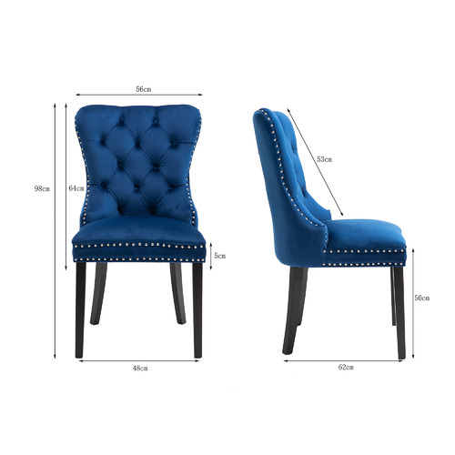 CoraHomeLiving Hemsworth Nailhead Velvet Dining Chairs Temple & ster