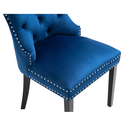 CoraHomeLiving Hemsworth Nailhead Velvet Dining Chairs Temple & ster