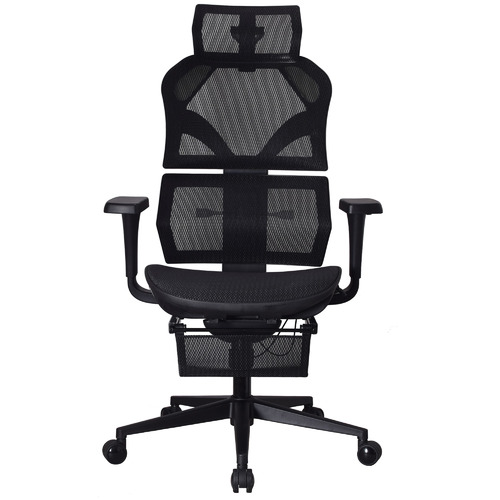 Tyrone Ergonomic Executive Office Chair Temple & ster