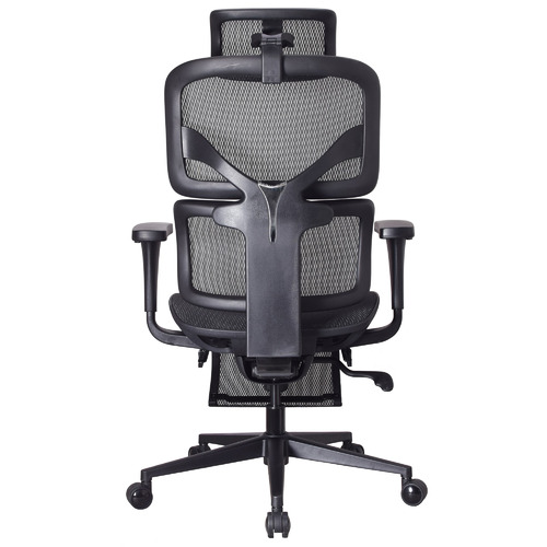 CoraHomeLiving Carlton Ergonomic Executive Office Chair Temple & ster