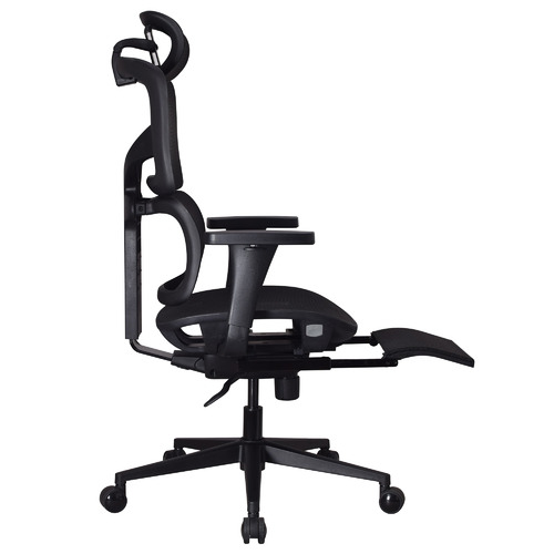 CoraHomeLiving Carlton Ergonomic Executive Office Chair Temple & ster