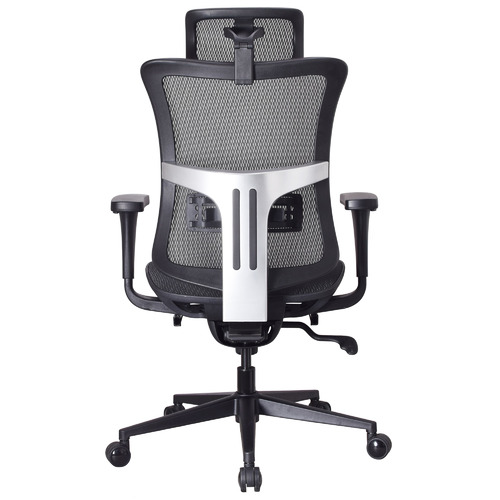 CoraHomeLiving Taylor Ergonomic Executive Office Chair Temple & ster