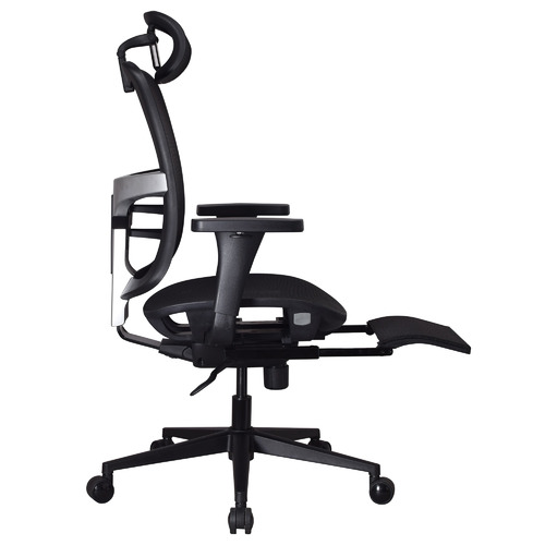 CoraHomeLiving Taylor Ergonomic Executive Office Chair Temple & ster
