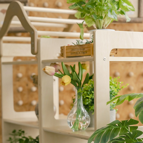 Kids' Plant Display Rack