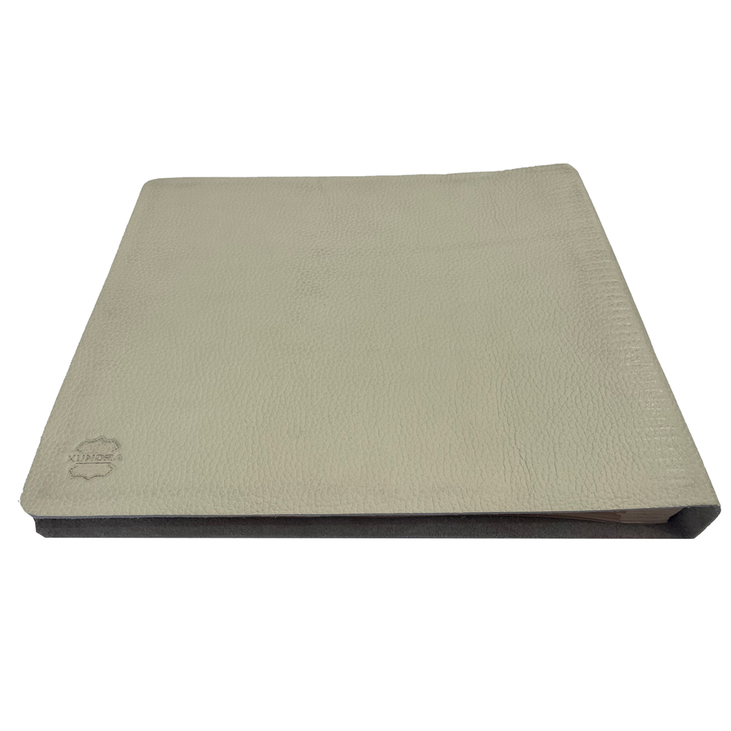 Stationary Leather Photo Album
