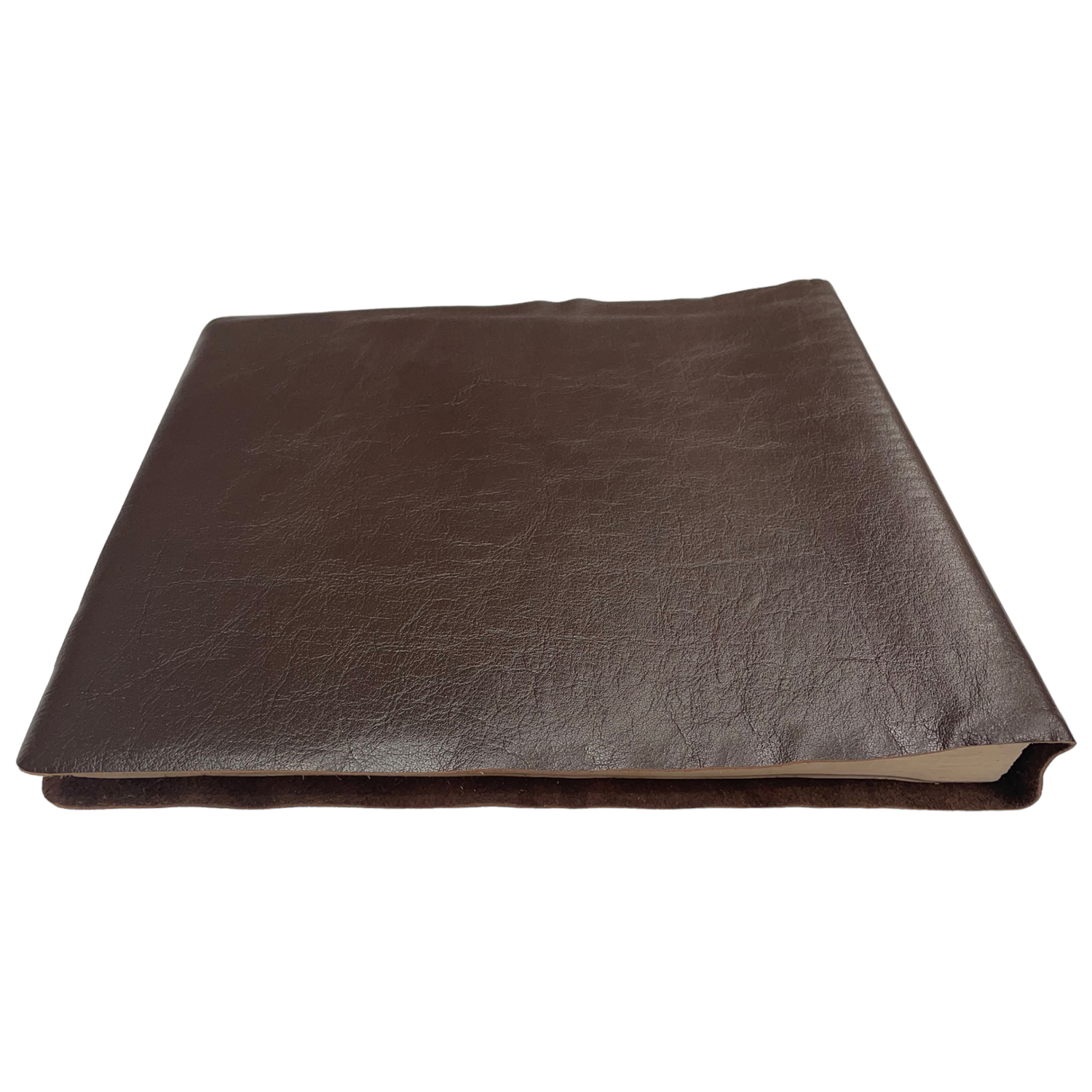 Stationary Leather Photo Album