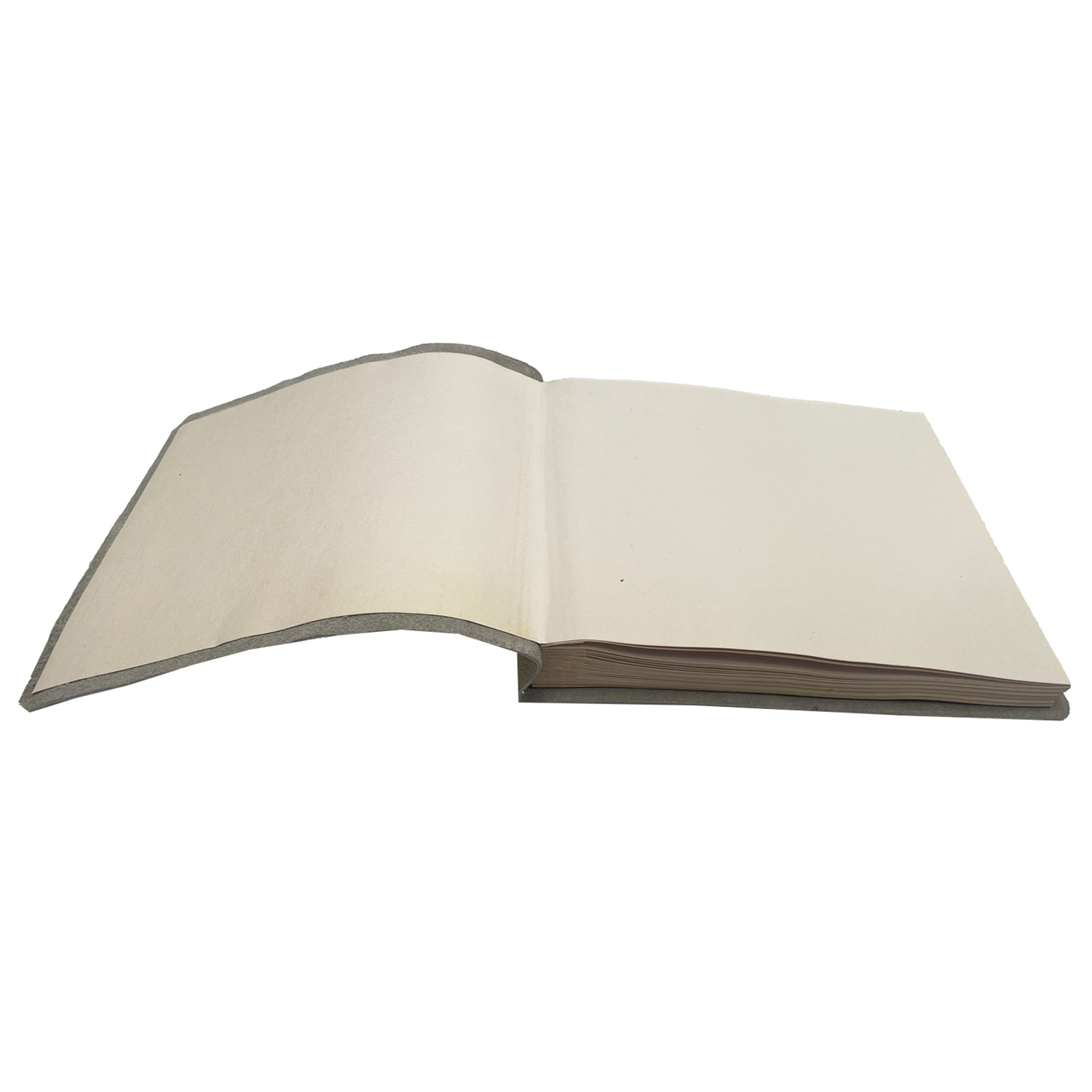 Stationary Leather Photo Album