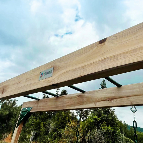 Lifespan Kids Daintree 2-in-1 Monkey Bars & Swing