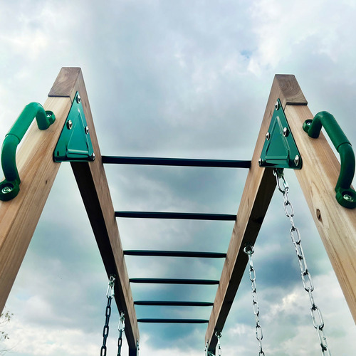 Lifespan Kids Daintree 2-in-1 Monkey Bars & Swing