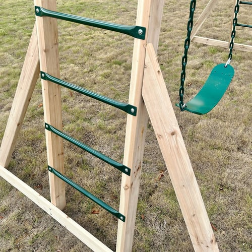 Lifespan Kids Daintree 2-in-1 Monkey Bars & Swing