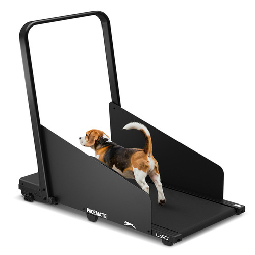 Austin 2-in-1 Dog Treadmill & Walking Pad