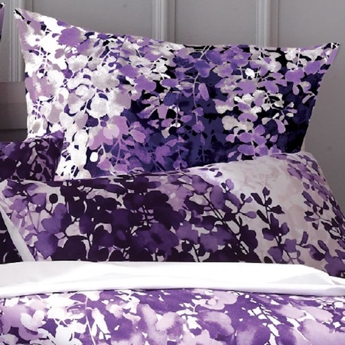 Luxotic Josephine Cotton Euro Pillowcase Temple & ster