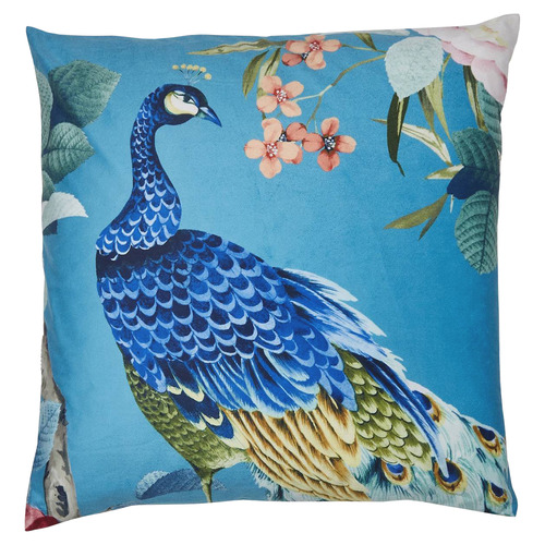 Luxotic Peacock Velvet Cushion | Temple & Webster