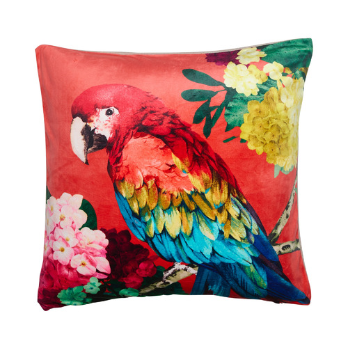 Chintz Parrot Square Velvet Cushion
