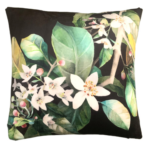 Daylesford Velvet Cushion