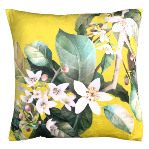 Daylesford Velvet Cushion