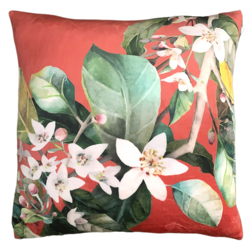 Daylesford Velvet Cushion