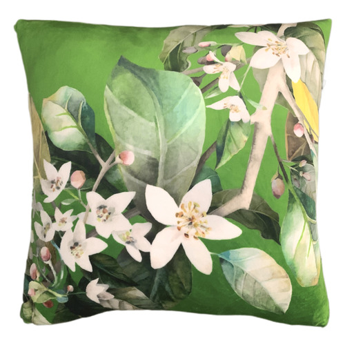 Daylesford Velvet Cushion