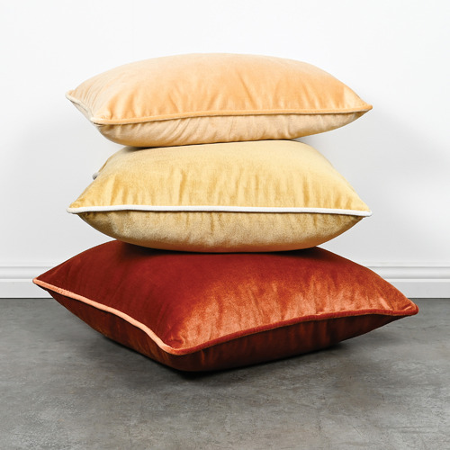 Brooklyn and Bella Laine Piped Square Velvet Cushion | Temple & Webster