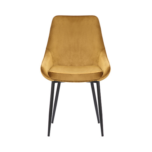 Daimyo Bright Velvet Dining Chairs