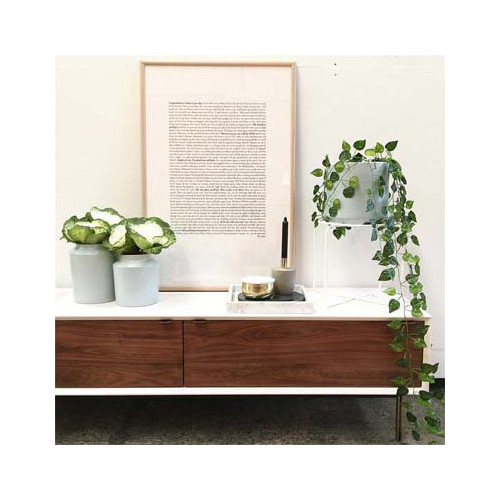 Oslo Home Anzio 4 Door TV Temple & ster