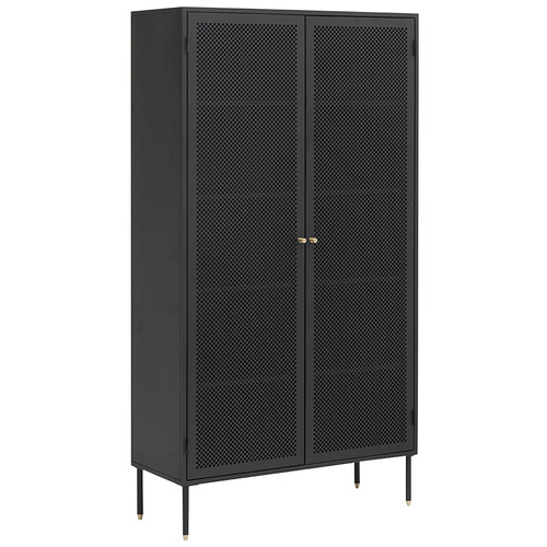 Dralla 2 Door Tall Cabinet | Temple & Webster