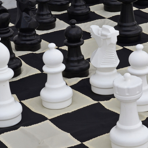 30cm Premium Chess Pieces & Mat Set