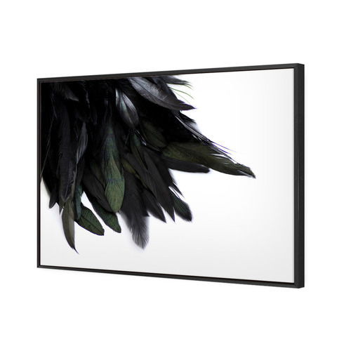Art Illusions Black Feather Tail Canvas Wall Art Reviews Temple Webster