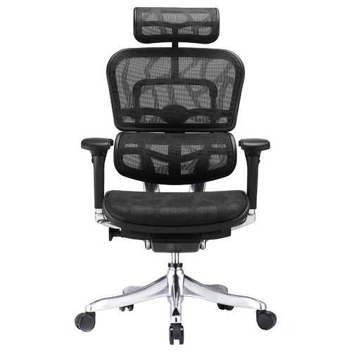 Milan Direct Ergohuman V2 Plus Deluxe Mesh Office Chair & Reviews ...