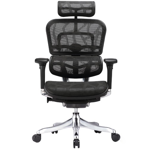 Milan Direct Ergohuman V2 Plus Deluxe Mesh Office Chair