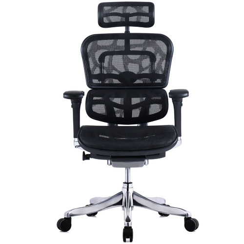 Milan Direct Ergohuman Plus Elite V2 Mesh Office Chair