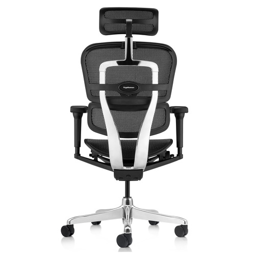 Ergohuman plus elite v2 deals full leather office chair