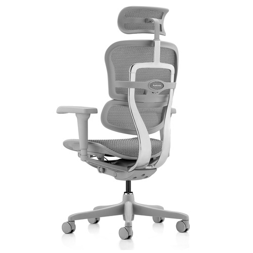 Raynor ergo elite chair with headrest me22erglt hot sale