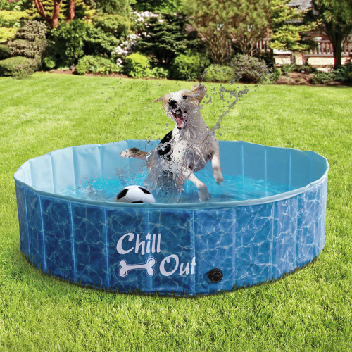 Jacob Dog Pool