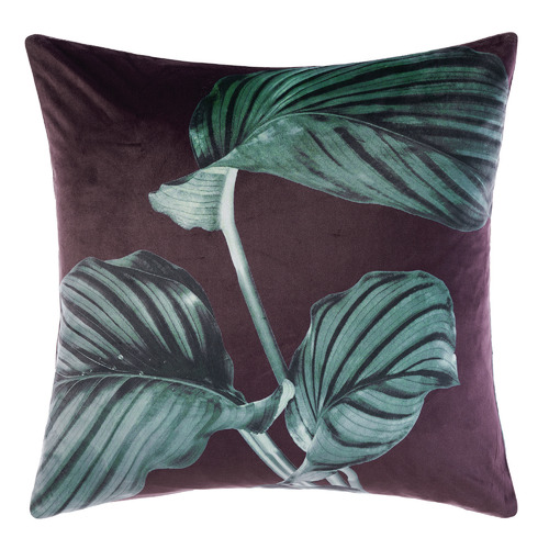 Linen House Julieta Velvet Cushion Temple & ster