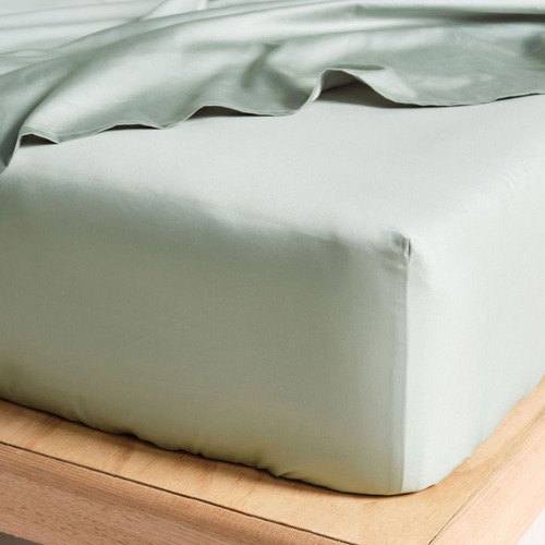 Augusta-500TC-Cotton-Fitted-Sheet-0184
