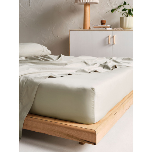 Augusta-500TC-Cotton-Fitted-Sheet-0184