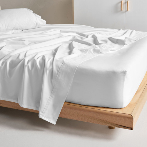Augusta 500TC Cotton Fitted Sheet