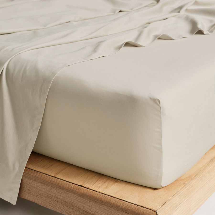 Augusta 500TC Cotton Sateen Fitted Sheet